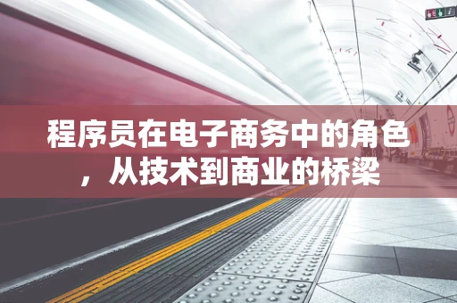 程序员在电子商务中的角色，从技术到商业的桥梁