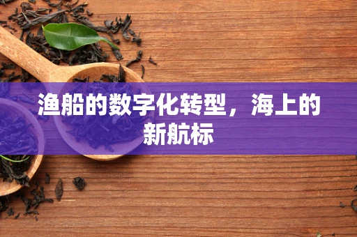 渔船的数字化转型，海上的新航标