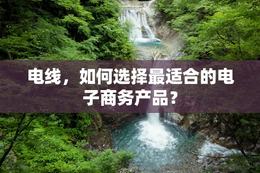 电线，如何选择最适合的电子商务产品？
