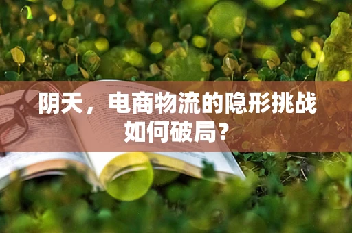 阴天，电商物流的隐形挑战如何破局？