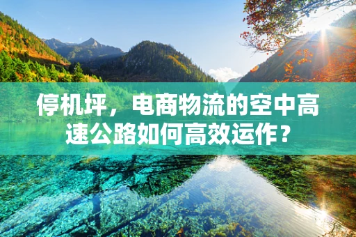停机坪，电商物流的空中高速公路如何高效运作？
