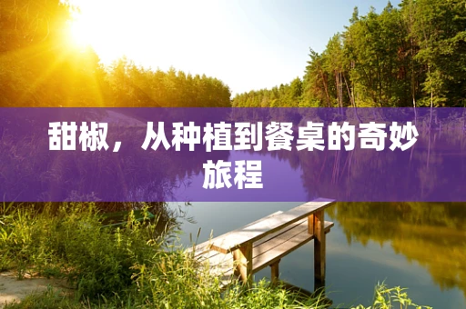甜椒，从种植到餐桌的奇妙旅程