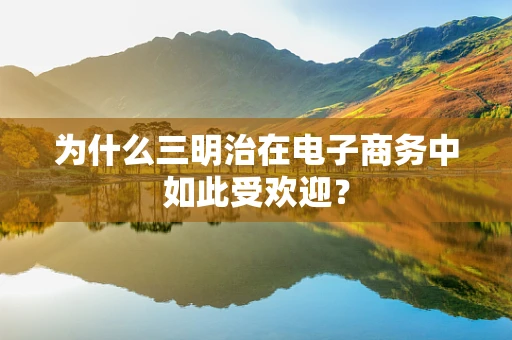 为什么三明治在电子商务中如此受欢迎？