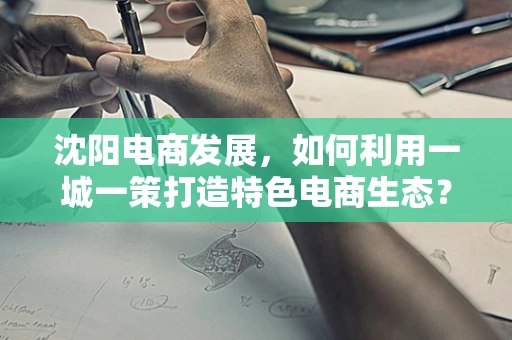沈阳电商发展，如何利用一城一策打造特色电商生态？