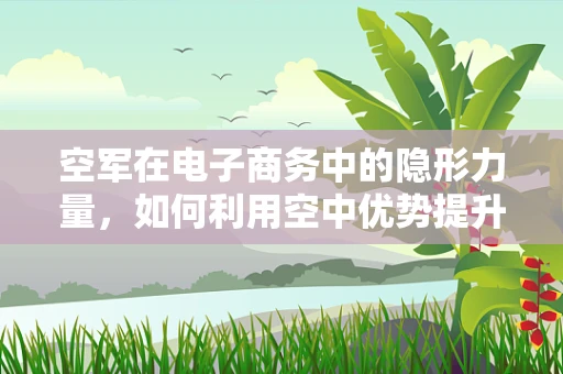 空军在电子商务中的隐形力量，如何利用空中优势提升物流效率？