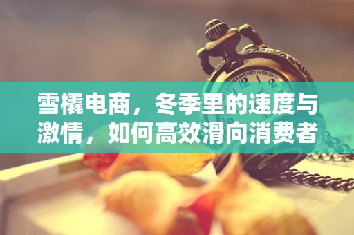 雪橇电商，冬季里的速度与激情，如何高效滑向消费者？