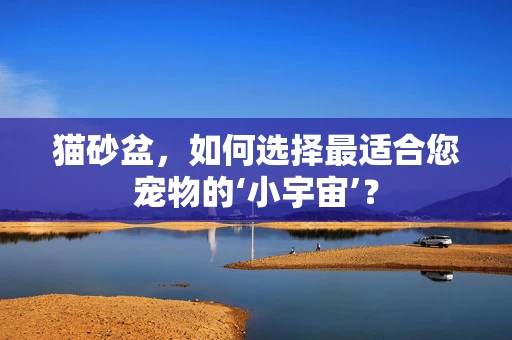 猫砂盆，如何选择最适合您宠物的‘小宇宙’？