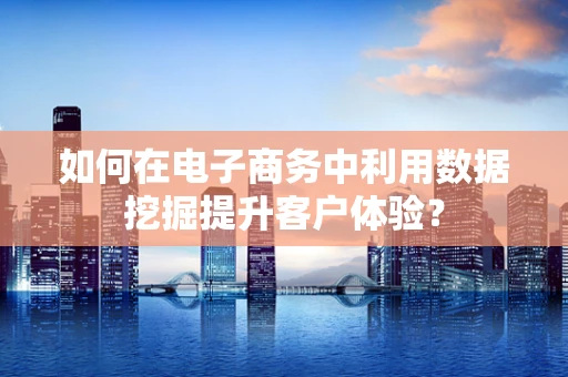 如何在电子商务中利用数据挖掘提升客户体验？