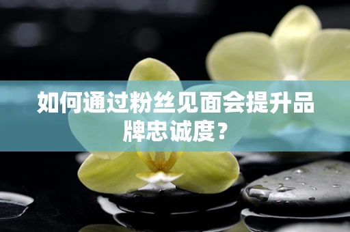 如何通过粉丝见面会提升品牌忠诚度？