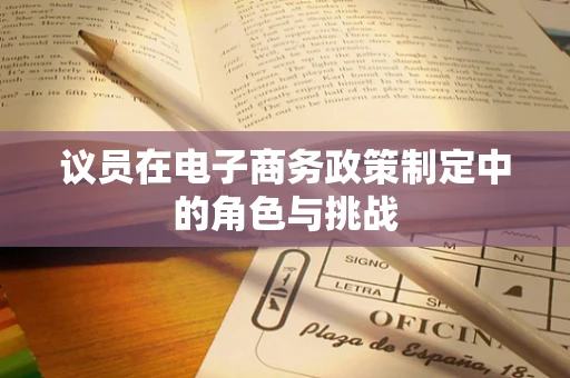 议员在电子商务政策制定中的角色与挑战