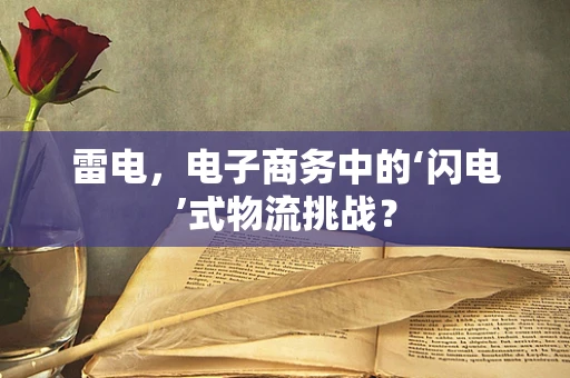 雷电，电子商务中的‘闪电’式物流挑战？