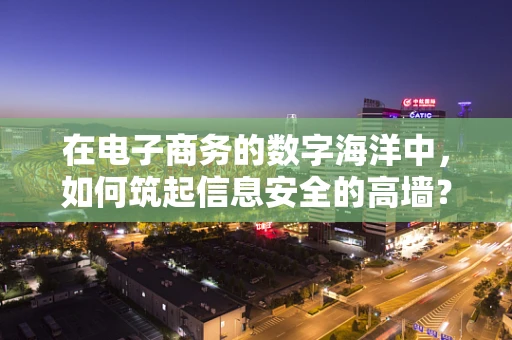 在电子商务的数字海洋中，如何筑起信息安全的高墙？