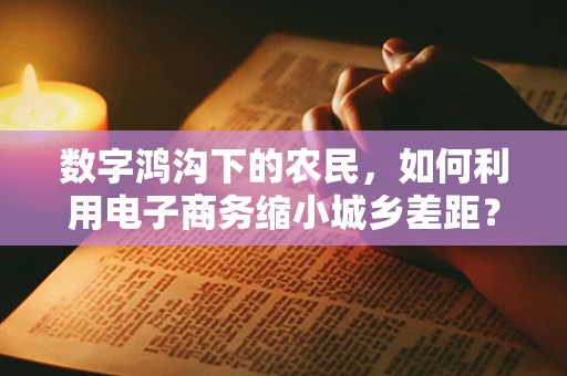数字鸿沟下的农民，如何利用电子商务缩小城乡差距？