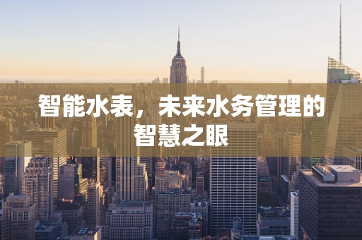 智能水表，未来水务管理的智慧之眼