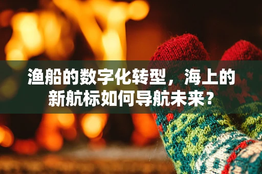 渔船的数字化转型，海上的新航标如何导航未来？