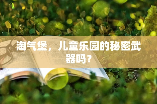 淘气堡，儿童乐园的秘密武器吗？