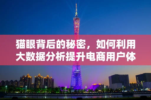 猫眼背后的秘密，如何利用大数据分析提升电商用户体验？