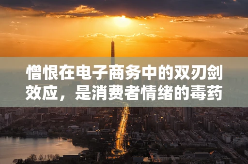 憎恨在电子商务中的双刃剑效应，是消费者情绪的毒药，还是转化的催化剂？