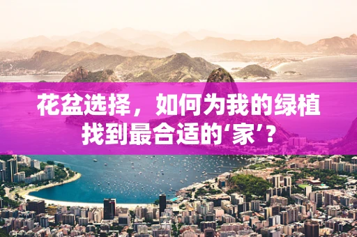 花盆选择，如何为我的绿植找到最合适的‘家’？