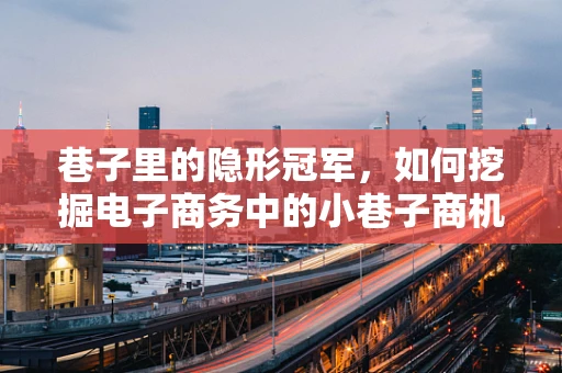 巷子里的隐形冠军，如何挖掘电子商务中的小巷子商机？
