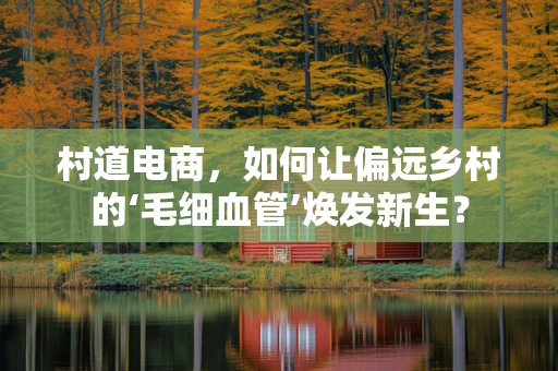 村道电商，如何让偏远乡村的‘毛细血管’焕发新生？
