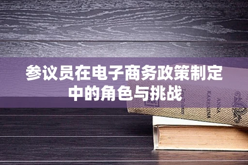 参议员在电子商务政策制定中的角色与挑战