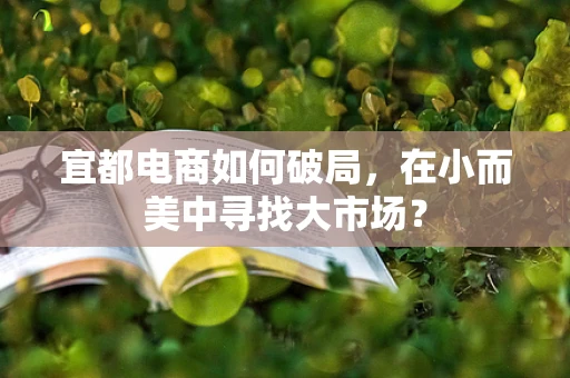 宜都电商如何破局，在小而美中寻找大市场？