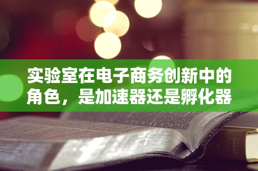 实验室在电子商务创新中的角色，是加速器还是孵化器？