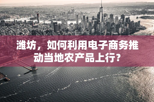 潍坊，如何利用电子商务推动当地农产品上行？
