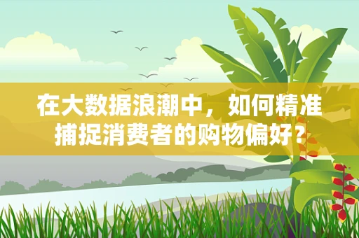 在大数据浪潮中，如何精准捕捉消费者的购物偏好？