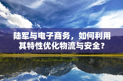 陆军与电子商务，如何利用其特性优化物流与安全？