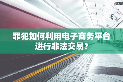 罪犯如何利用电子商务平台进行非法交易？