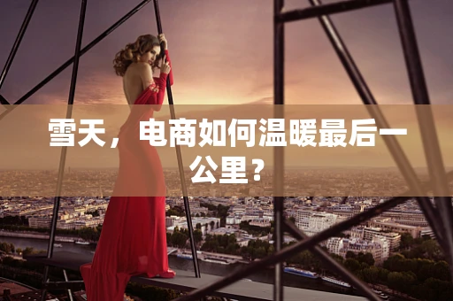 雪天，电商如何温暖最后一公里？