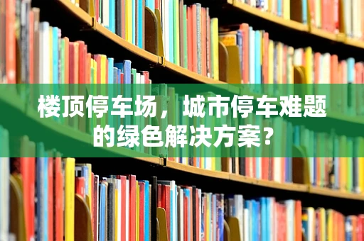 楼顶停车场，城市停车难题的绿色解决方案？