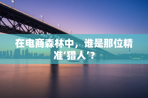 在电商森林中，谁是那位精准‘猎人’？