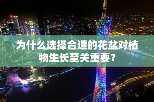 为什么选择合适的花盆对植物生长至关重要？