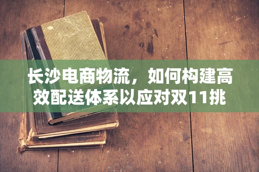 长沙电商物流，如何构建高效配送体系以应对双11挑战？