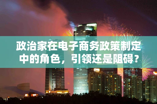 政治家在电子商务政策制定中的角色，引领还是阻碍？