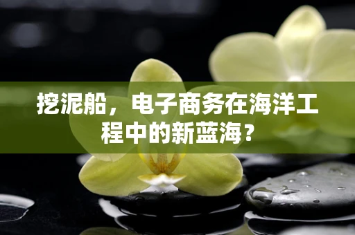挖泥船，电子商务在海洋工程中的新蓝海？