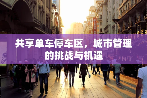 共享单车停车区，城市管理的挑战与机遇