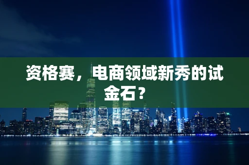 资格赛，电商领域新秀的试金石？