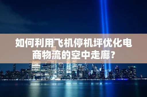 如何利用飞机停机坪优化电商物流的空中走廊？