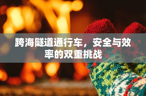 跨海隧道通行车，安全与效率的双重挑战
