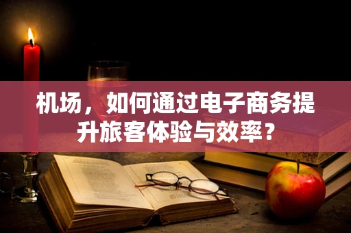 机场，如何通过电子商务提升旅客体验与效率？