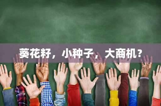 葵花籽，小种子，大商机？