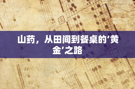 山药，从田间到餐桌的‘黄金’之路