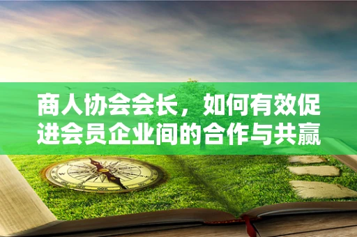 商人协会会长，如何有效促进会员企业间的合作与共赢？