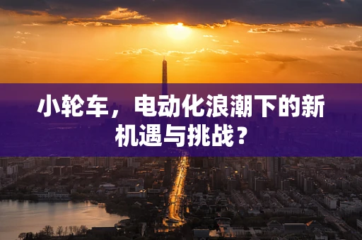小轮车，电动化浪潮下的新机遇与挑战？