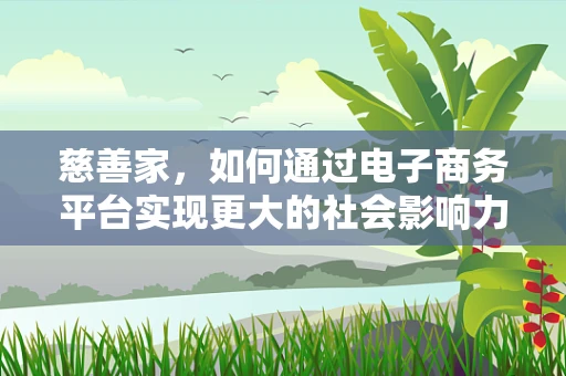 慈善家，如何通过电子商务平台实现更大的社会影响力？