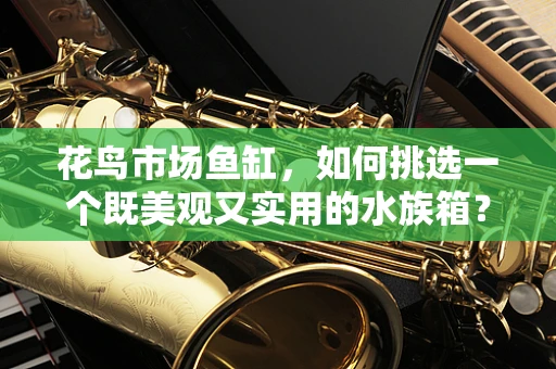 花鸟市场鱼缸，如何挑选一个既美观又实用的水族箱？